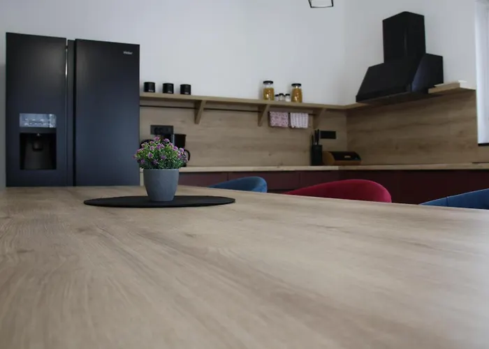 Mel's House 벤코바츠